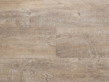 Load image into Gallery viewer, Provenza Maxcore - Uptown Chic - PRO2109 - New Attitude