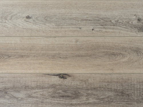 Provenza Maxcore - Moda Living - PRO2604 - Fly Away