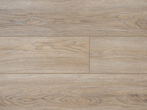 ProvenzaMaxcore - Moda Living - PRO2624 - Rule Breaker