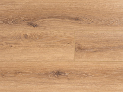 ProvenzaMaxcore - Moda Living - PRO2625 - Star Struck