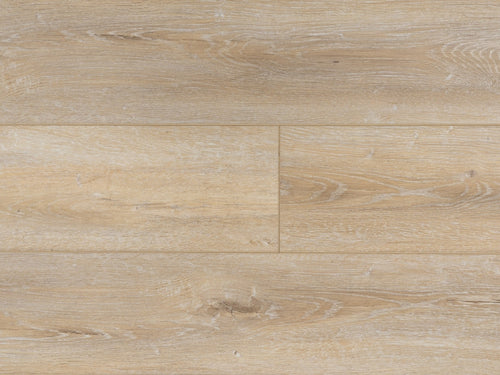 ProvenzaMaxcore - Moda Living - PRO2628 - Wild Applause